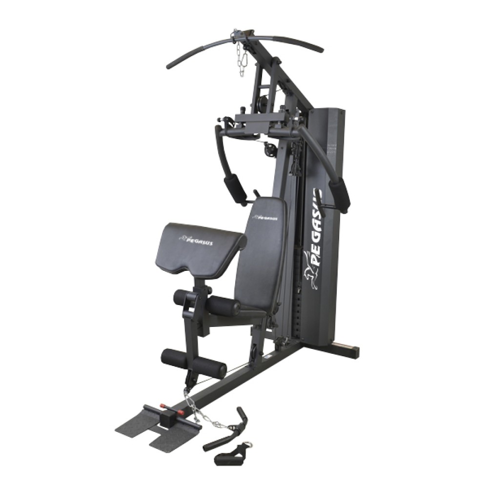 Pegasus HG-250 (τύπου ADIDAS Home Gym)