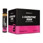 L-CARNITINE 3000mg 20amp x 25ml Biotech Usa