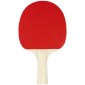 Σετ 2 Ρακέτες Ping Pong & 2 Μπαλάκια "Team Up" 46TK Avento