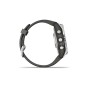 GARMIN Fenix 7S Pro Solar Silver with Graphite GA-010-02776-01