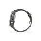 GARMIN Fenix 7S Pro Solar Silver with Graphite GA-010-02776-01