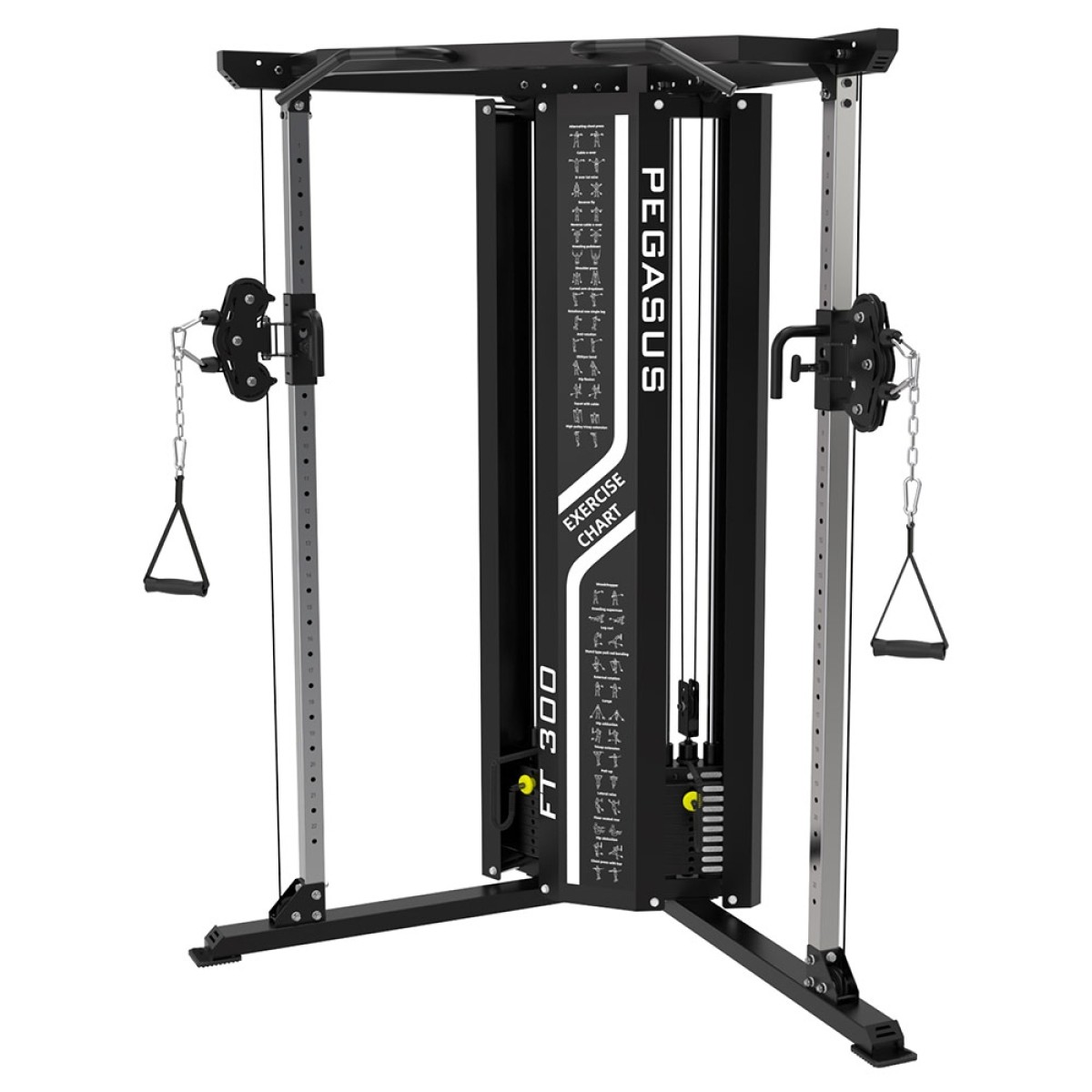 Functional Trainer FT‑300 Pegasus®