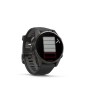 GARMIN Fenix 8 43mm Amoled Sapphire Titanium Carbon Gray with Black and Pebble Gray GA-010-02903-21