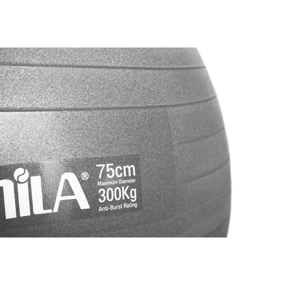 Μπάλα Γυμναστικής AMILA GYMBALL 75cm Γκρι Bulk 48425