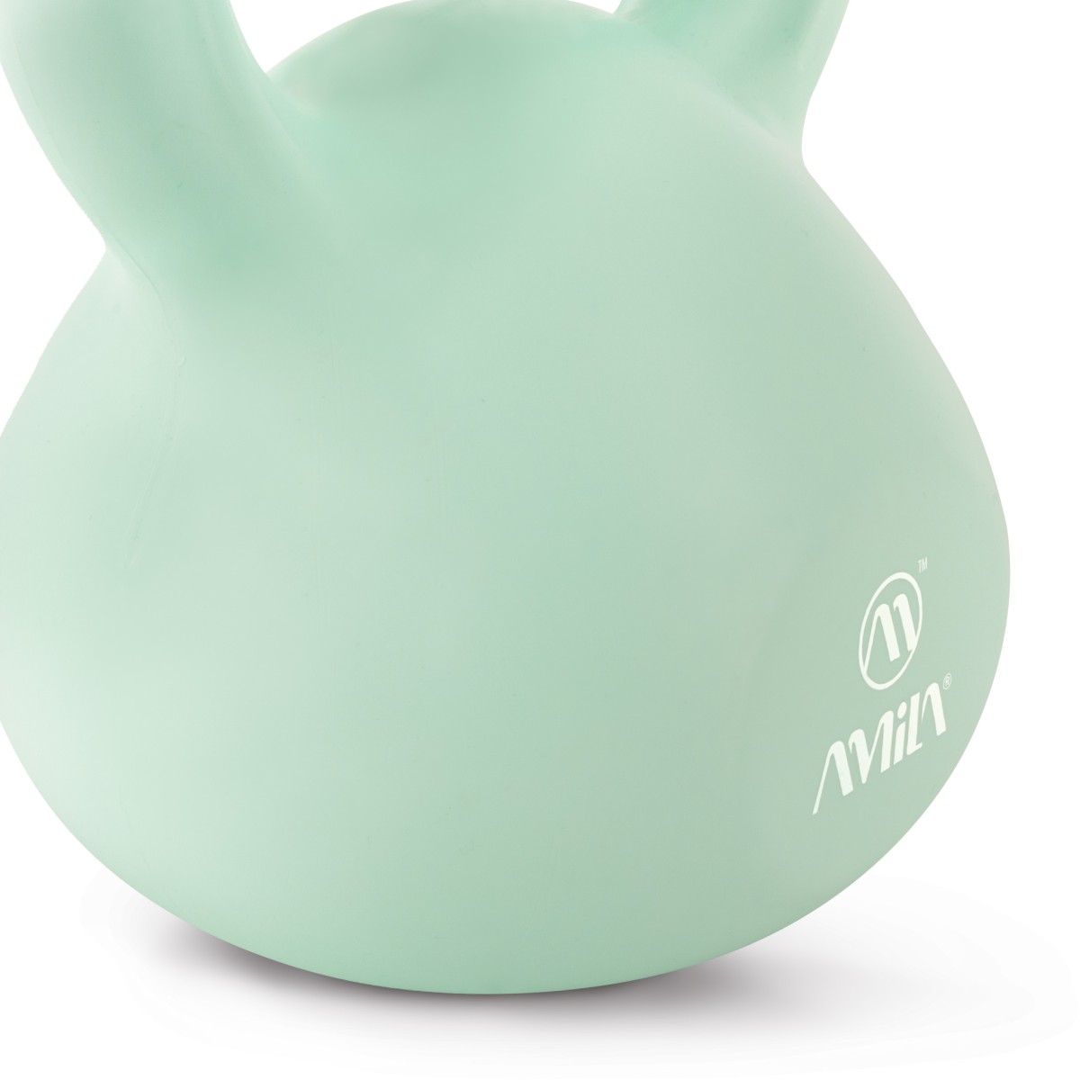 Kettlebell Plastic Series 6Kg 90483 AMILA