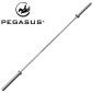 Ολυμπιακή μπάρα 2000mm (15.4kg) 390318135 Pegasus