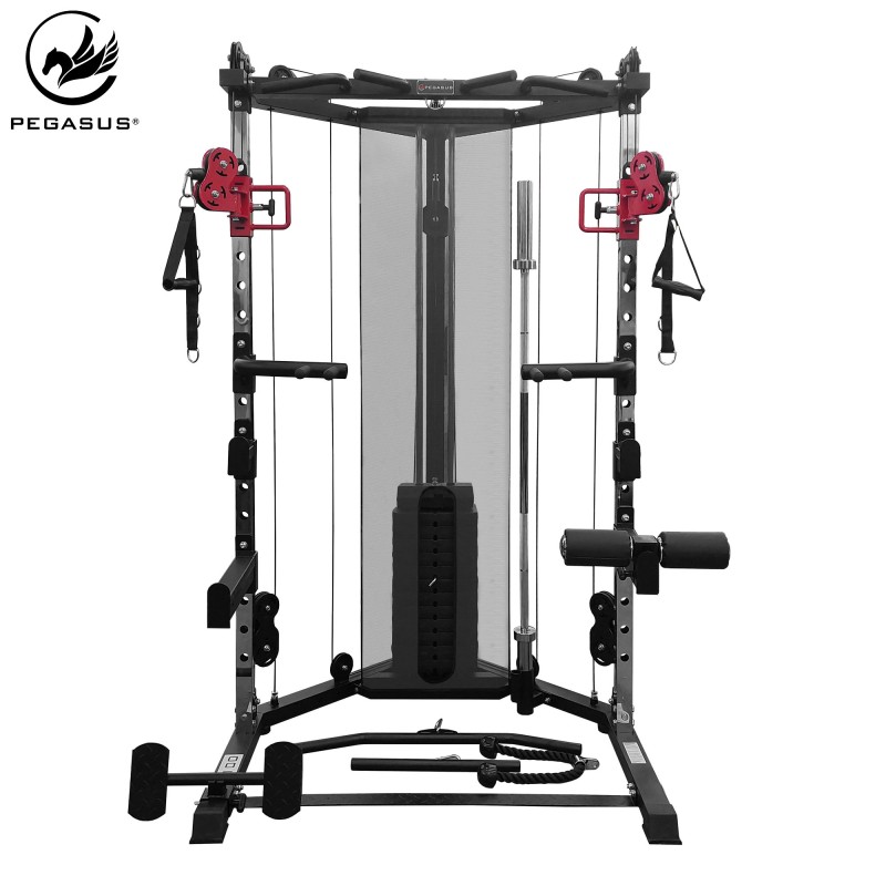 Functional Trainer FT-100 Pegasus®