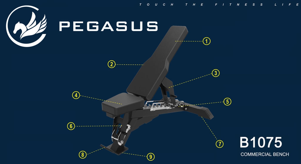 epaggelmatikos-pagkos-rithmizomenos-b1075-pegasus