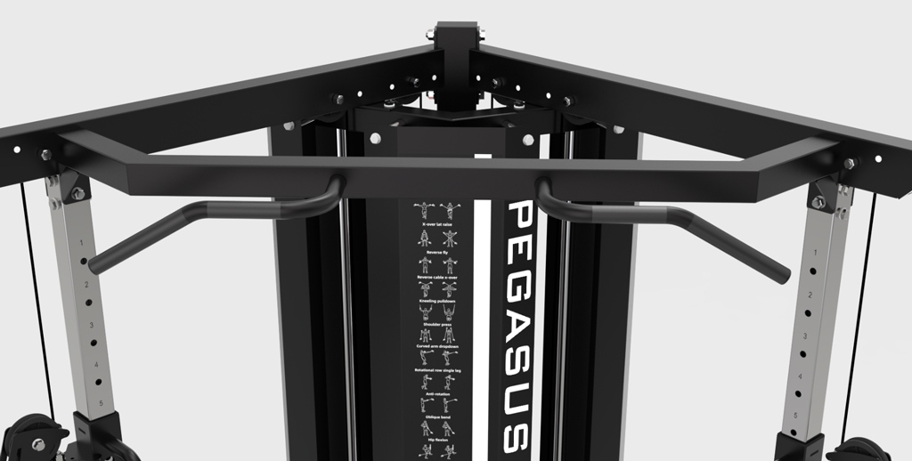 functional-trainer-ft-300-pegasus