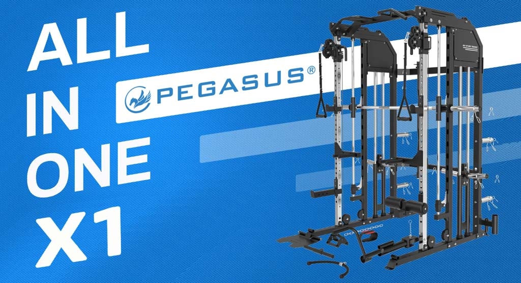 imiepaggelmatiko-all-in-one-trainer-x1-pegasus