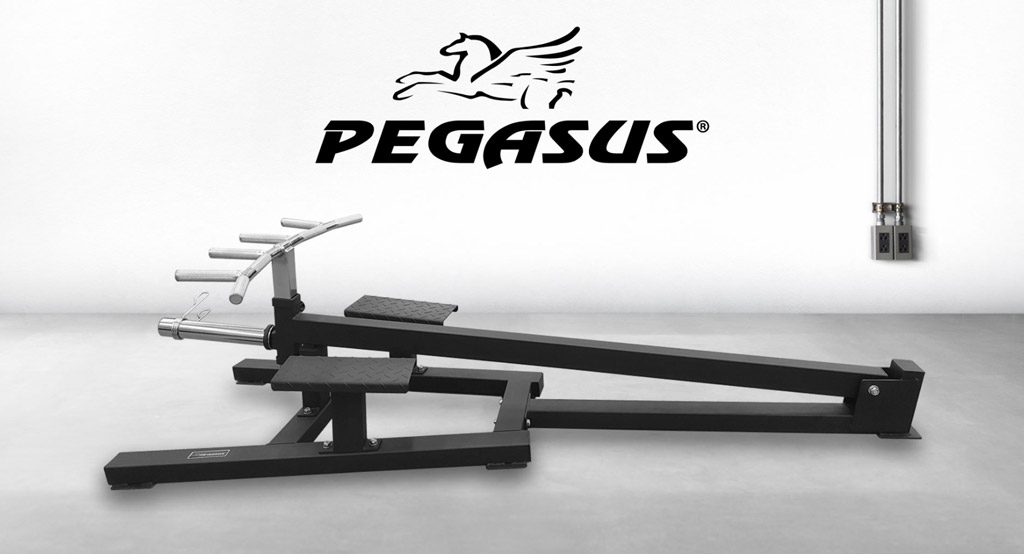 michani-platis-t-bar-pegasus