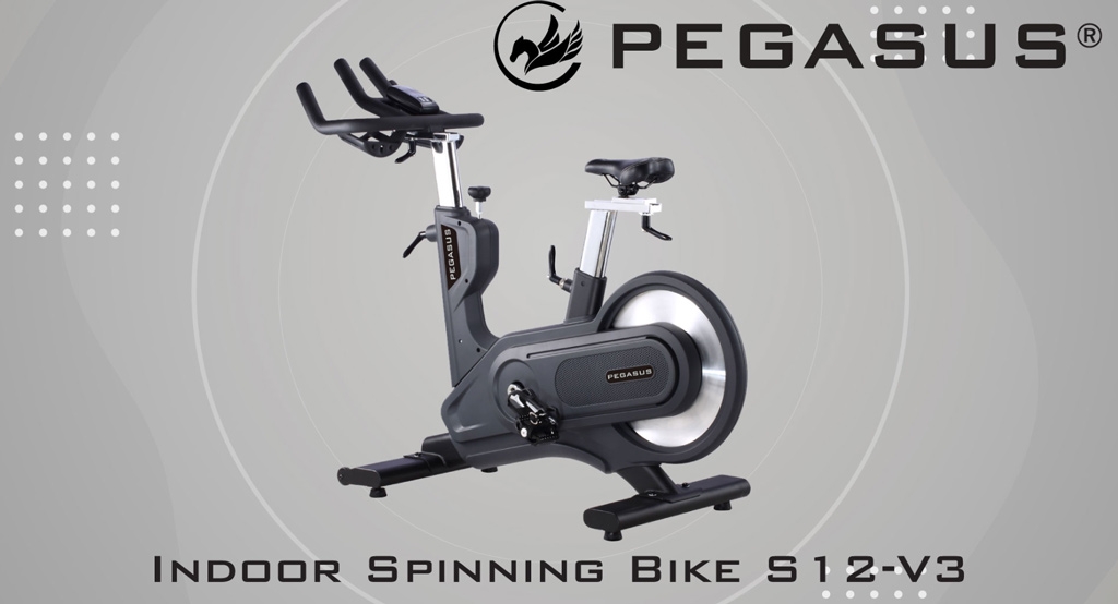 podilato-spin-bike-s12-p-3640-pegasus