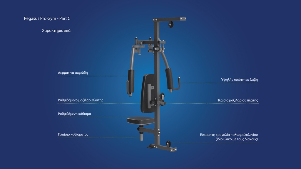 pro-gym-3-theseon-mt-18504-abc-pegasus