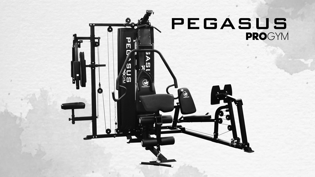 pro-gym-3-theseon-mt-18504-abc-pegasus