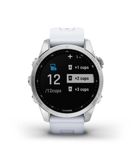 fenix-7s-silver-with-graphite-garmin