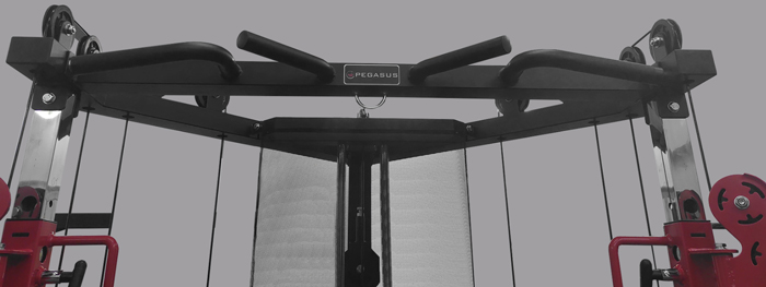 functional-trainer-ft‑100-pegasus