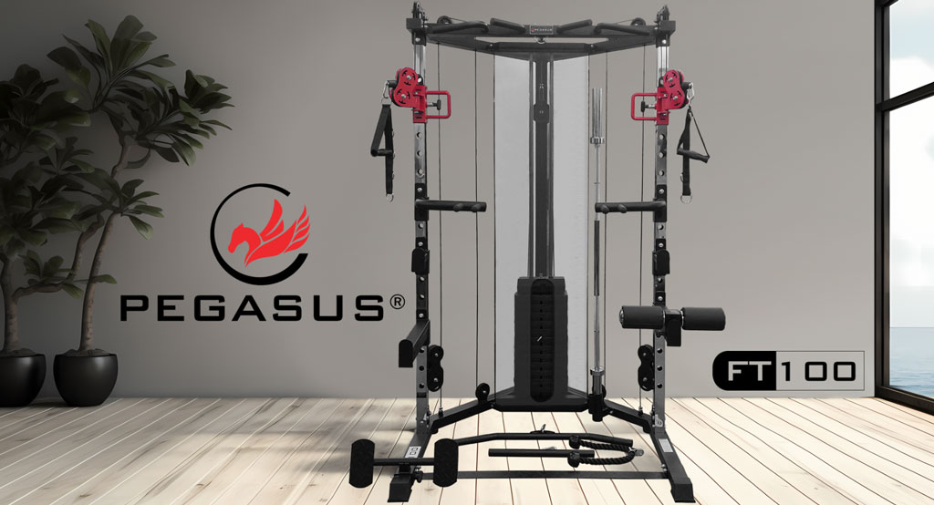 functional-trainer-ft‑100-pegasus